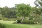 Mcdougalls Hillresidential-landscaping-40.jpg; ?>
